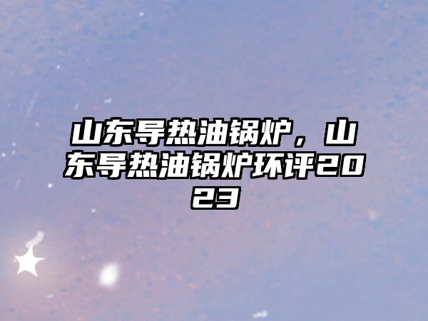 山東導(dǎo)熱油鍋爐，山東導(dǎo)熱油鍋爐環(huán)評(píng)2023