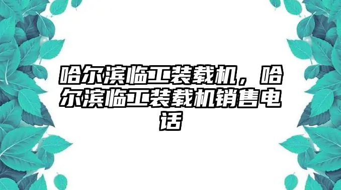 哈爾濱臨工裝載機，哈爾濱臨工裝載機銷售電話