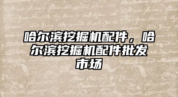 哈爾濱挖掘機配件，哈爾濱挖掘機配件批發(fā)市場