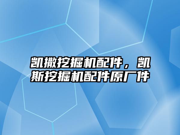 凱撒挖掘機配件，凱斯挖掘機配件原廠件