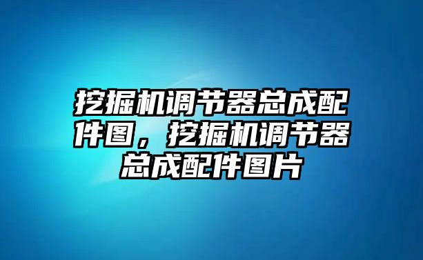 挖掘機(jī)調(diào)節(jié)器總成配件圖，挖掘機(jī)調(diào)節(jié)器總成配件圖片