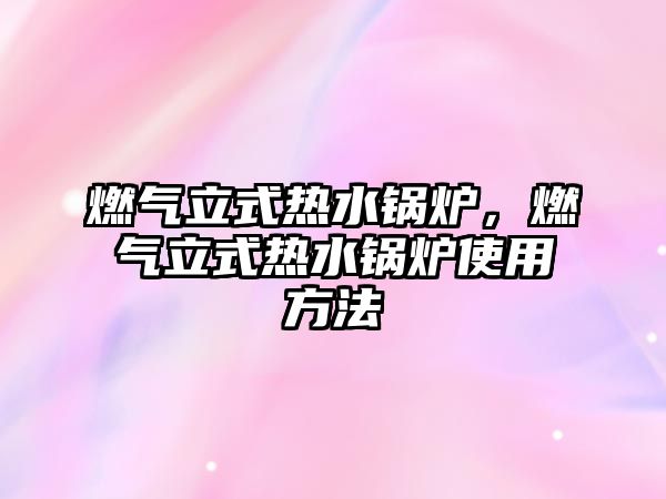 燃?xì)饬⑹綗崴仩t，燃?xì)饬⑹綗崴仩t使用方法