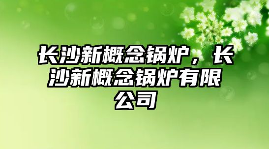 長(zhǎng)沙新概念鍋爐，長(zhǎng)沙新概念鍋爐有限公司