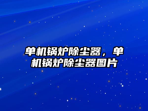 單機鍋爐除塵器，單機鍋爐除塵器圖片