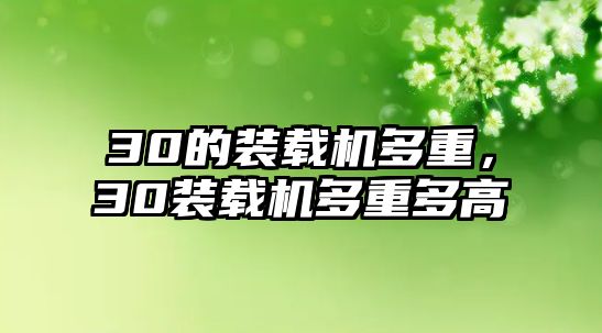 30的裝載機(jī)多重，30裝載機(jī)多重多高