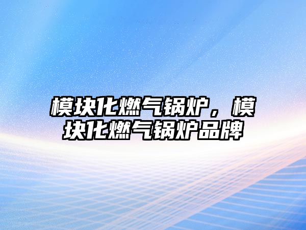 模塊化燃?xì)忮仩t，模塊化燃?xì)忮仩t品牌