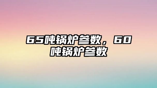 65噸鍋爐參數，60噸鍋爐參數