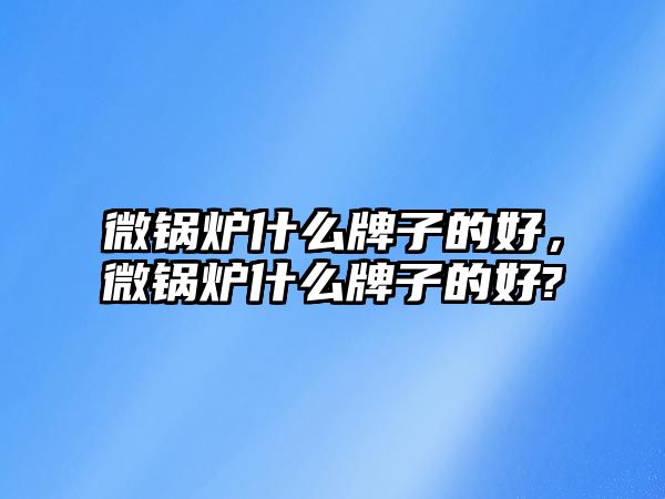 微鍋爐什么牌子的好，微鍋爐什么牌子的好?