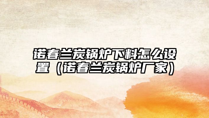 諾春蘭炭鍋爐下料怎么設(shè)置（諾春蘭炭鍋爐廠(chǎng)家）