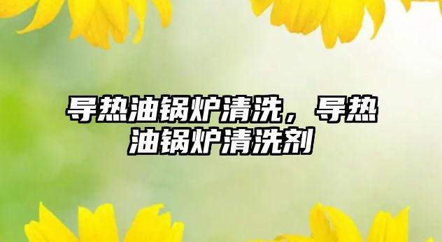 導熱油鍋爐清洗，導熱油鍋爐清洗劑