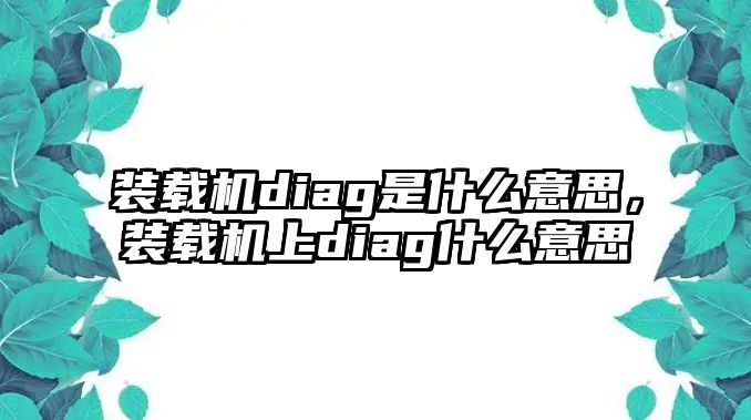 裝載機(jī)diag是什么意思，裝載機(jī)上diag什么意思