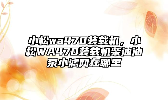 小松wa470裝載機(jī)，小松WA470裝載機(jī)柴油油泵小濾網(wǎng)在哪里