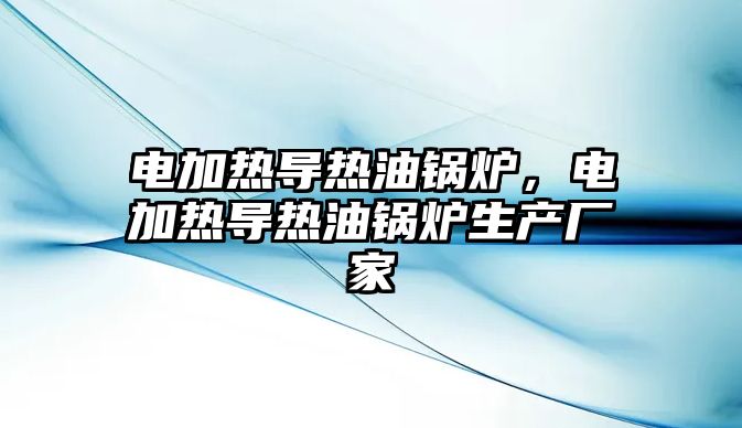 電加熱導(dǎo)熱油鍋爐，電加熱導(dǎo)熱油鍋爐生產(chǎn)廠家