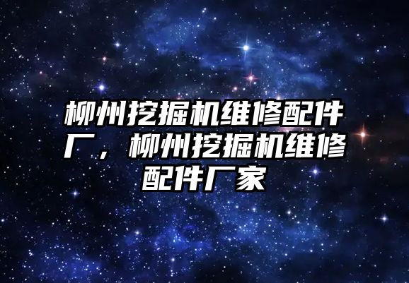 柳州挖掘機(jī)維修配件廠，柳州挖掘機(jī)維修配件廠家