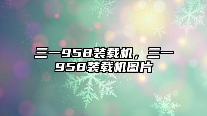 三一958裝載機(jī)，三一958裝載機(jī)圖片