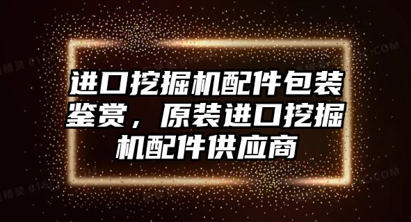 進口挖掘機配件包裝鑒賞，原裝進口挖掘機配件供應(yīng)商