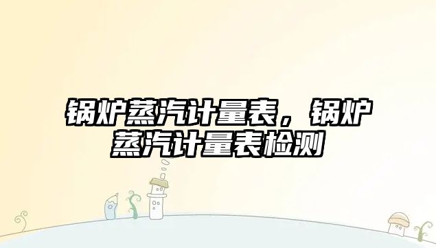 鍋爐蒸汽計量表，鍋爐蒸汽計量表檢測