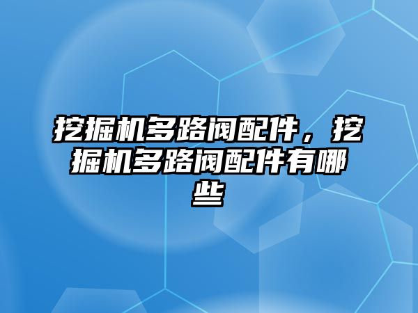 挖掘機(jī)多路閥配件，挖掘機(jī)多路閥配件有哪些