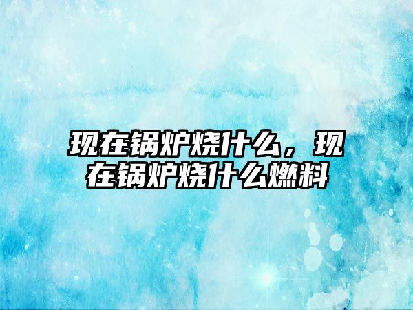 現(xiàn)在鍋爐燒什么，現(xiàn)在鍋爐燒什么燃料