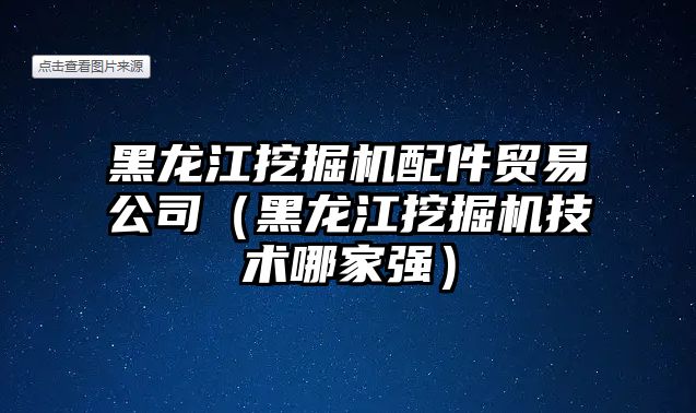 黑龍江挖掘機配件貿(mào)易公司（黑龍江挖掘機技術哪家強）