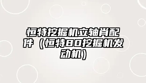 恒特挖掘機立軸肖配件（恒特80挖掘機發(fā)動機）