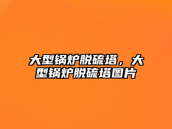 大型鍋爐脫硫塔，大型鍋爐脫硫塔圖片