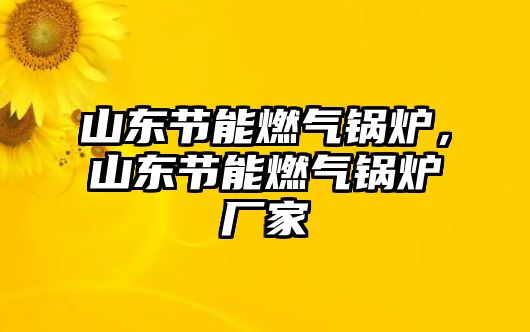 山東節(jié)能燃?xì)忮仩t，山東節(jié)能燃?xì)忮仩t廠家