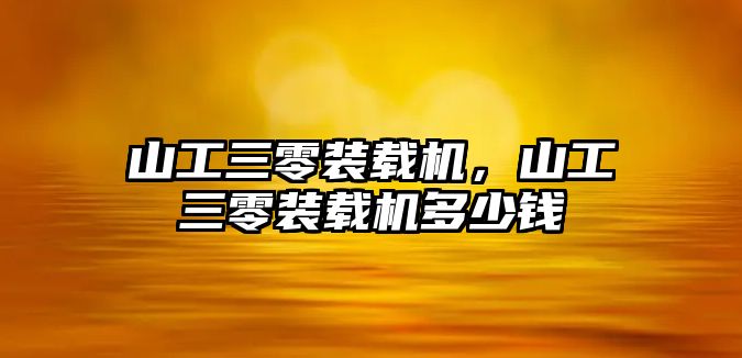 山工三零裝載機(jī)，山工三零裝載機(jī)多少錢