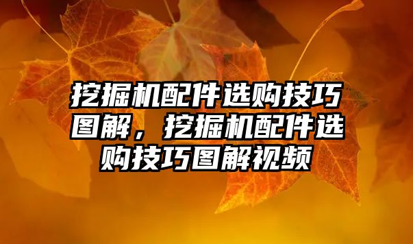 挖掘機配件選購技巧圖解，挖掘機配件選購技巧圖解視頻