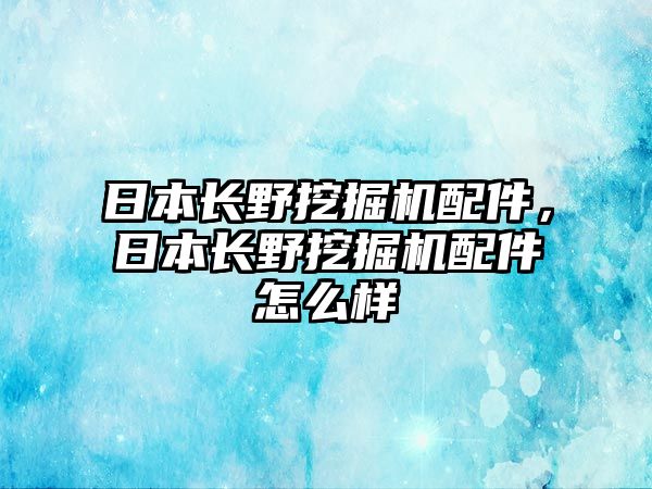 日本長野挖掘機(jī)配件，日本長野挖掘機(jī)配件怎么樣