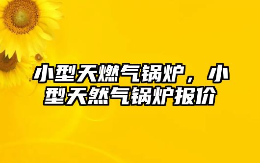 小型天燃?xì)忮仩t，小型天然氣鍋爐報(bào)價(jià)