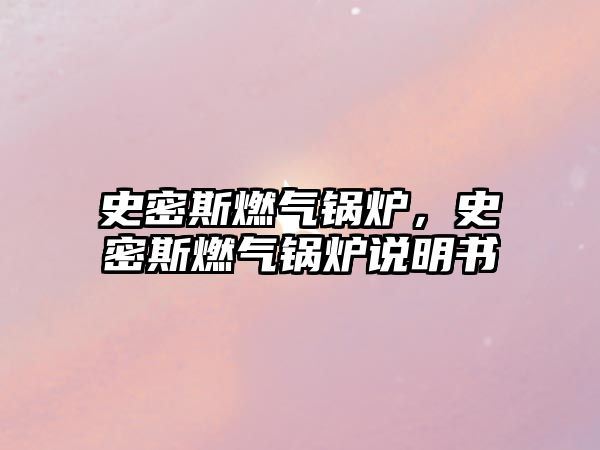 史密斯燃?xì)忮仩t，史密斯燃?xì)忮仩t說明書