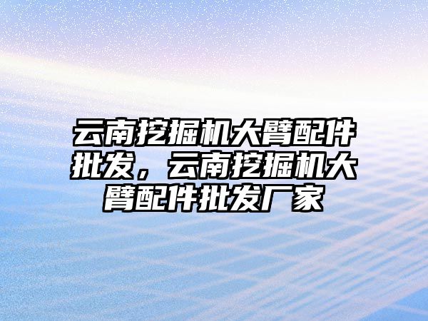 云南挖掘機大臂配件批發(fā)，云南挖掘機大臂配件批發(fā)廠家