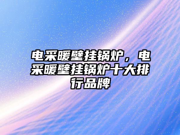 電采暖壁掛鍋爐，電采暖壁掛鍋爐十大排行品牌