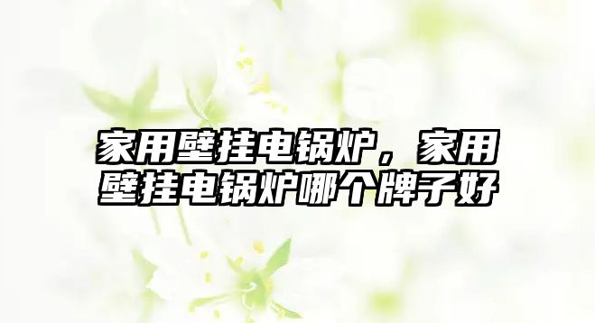 家用壁掛電鍋爐，家用壁掛電鍋爐哪個牌子好