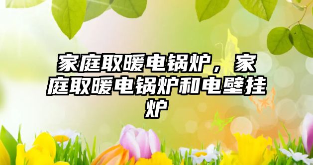 家庭取暖電鍋爐，家庭取暖電鍋爐和電壁掛爐