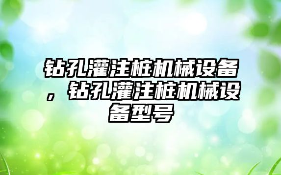 鉆孔灌注樁機械設備，鉆孔灌注樁機械設備型號