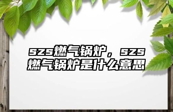 szs燃氣鍋爐，szs燃氣鍋爐是什么意思