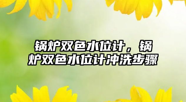 鍋爐雙色水位計，鍋爐雙色水位計沖洗步驟