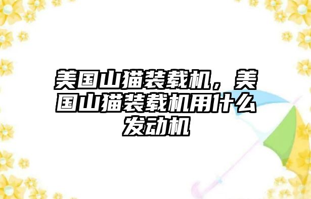 美國山貓裝載機(jī)，美國山貓裝載機(jī)用什么發(fā)動(dòng)機(jī)