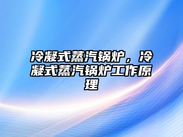 冷凝式蒸汽鍋爐，冷凝式蒸汽鍋爐工作原理