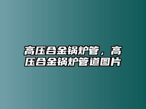 高壓合金鍋爐管，高壓合金鍋爐管道圖片