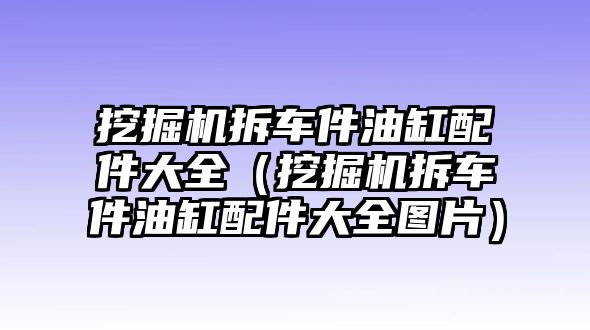 挖掘機(jī)拆車件油缸配件大全（挖掘機(jī)拆車件油缸配件大全圖片）