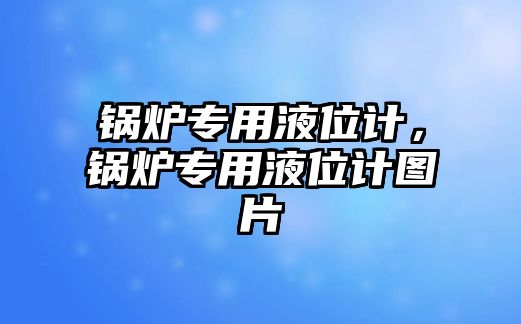 鍋爐專用液位計，鍋爐專用液位計圖片