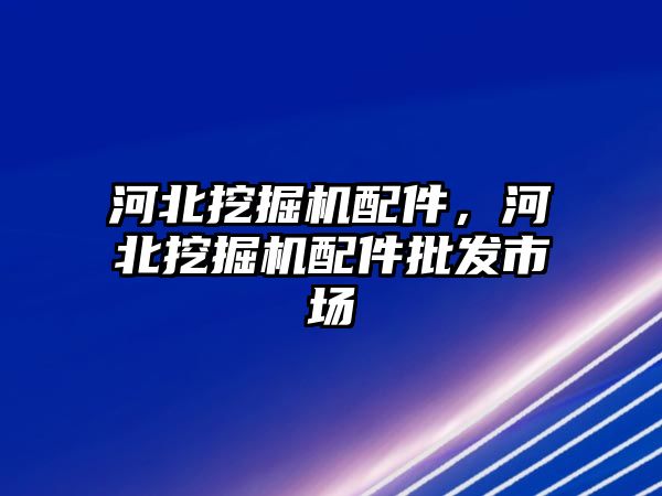 河北挖掘機配件，河北挖掘機配件批發(fā)市場