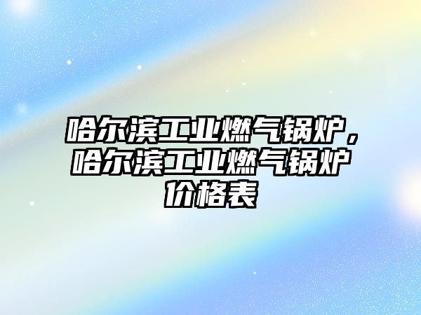 哈爾濱工業(yè)燃?xì)忮仩t，哈爾濱工業(yè)燃?xì)忮仩t價格表