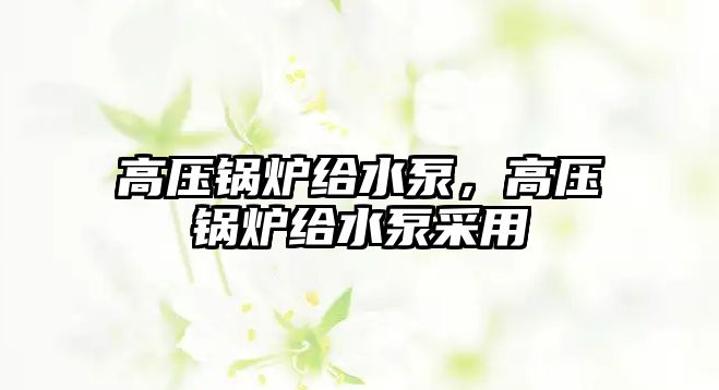 高壓鍋爐給水泵，高壓鍋爐給水泵采用