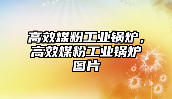 高效煤粉工業(yè)鍋爐，高效煤粉工業(yè)鍋爐圖片