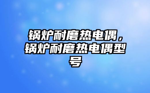 鍋爐耐磨熱電偶，鍋爐耐磨熱電偶型號