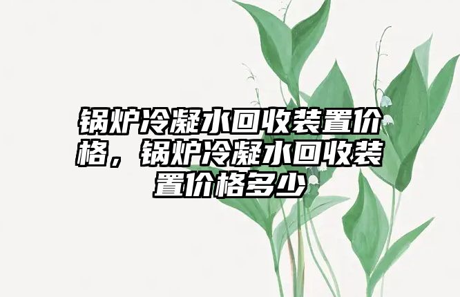 鍋爐冷凝水回收裝置價格，鍋爐冷凝水回收裝置價格多少